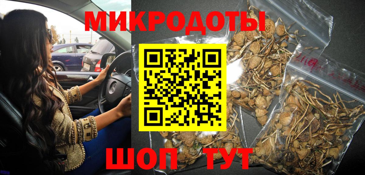 Псилоцибиновые грибы ЛСД Советск