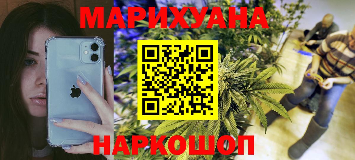 Каннабис Bruce Banner  МАРИХУАНА планчик  Советск  Вход с VPN  Конопля конопля  Конопля индика 